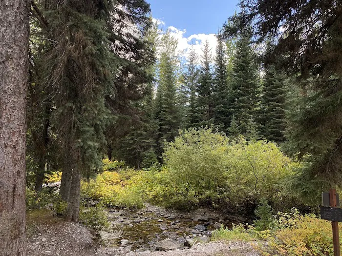Park Creek Campground 3