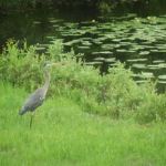 Glacier HipCamp (by Reservation Only)