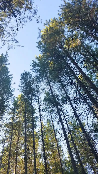 Sundance Campground 4