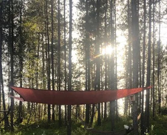 Mooseshroom Yurt Retreat and Campground