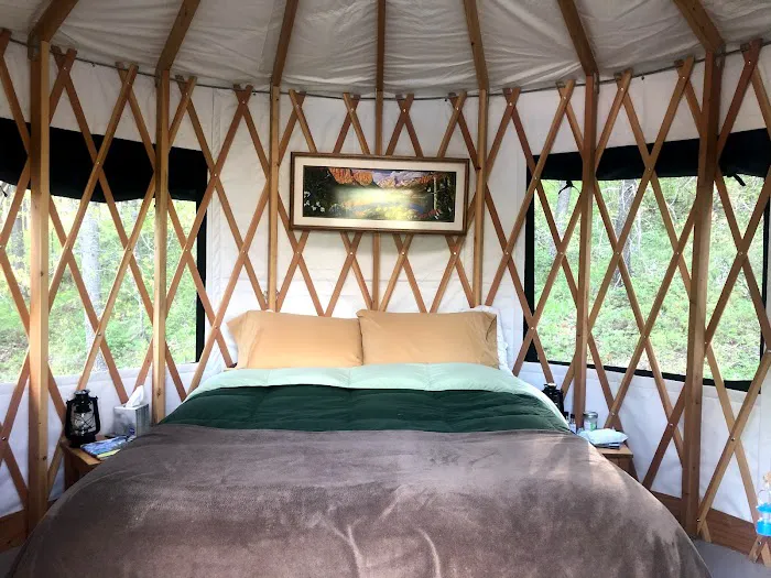 Mooseshroom Yurt Retreat and Campground 2
