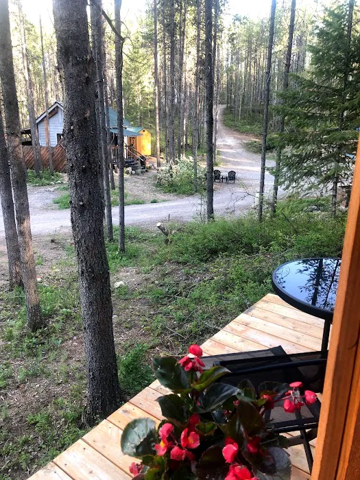 Mooseshroom Yurt Retreat and Campground 3