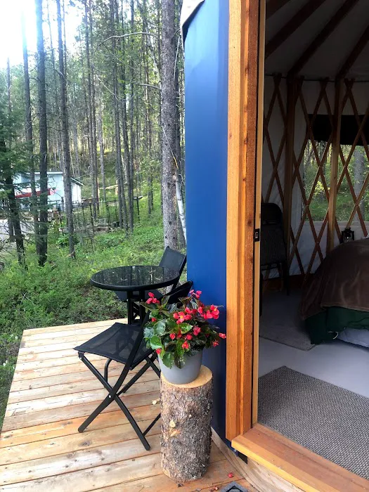 Mooseshroom Yurt Retreat and Campground 4