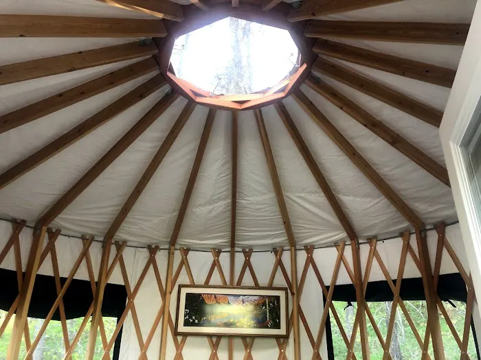 Mooseshroom Yurt Retreat and Campground 5