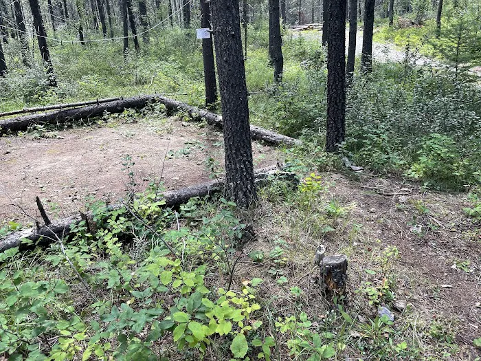 Mooseshroom Yurt Retreat and Campground 6