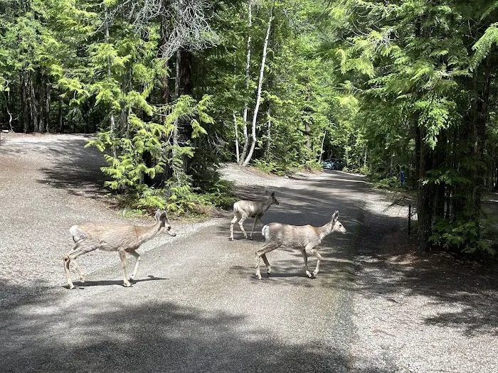 Fish Creek Campground 6