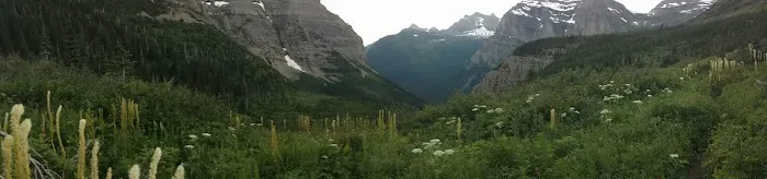 Brown Pass Campground 3