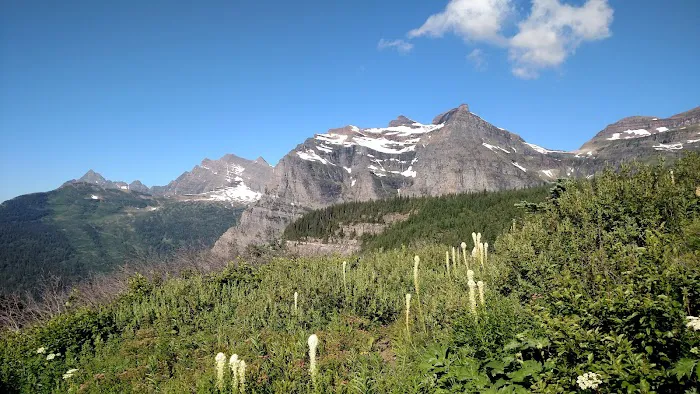 Brown Pass Campground 1