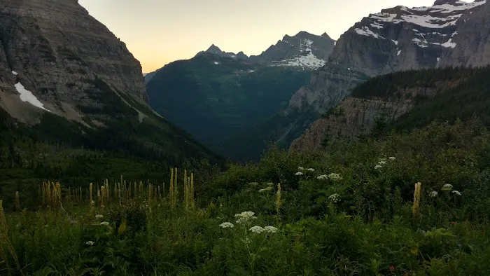 Brown Pass Campground 8