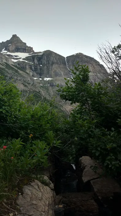 Brown Pass Campground 9