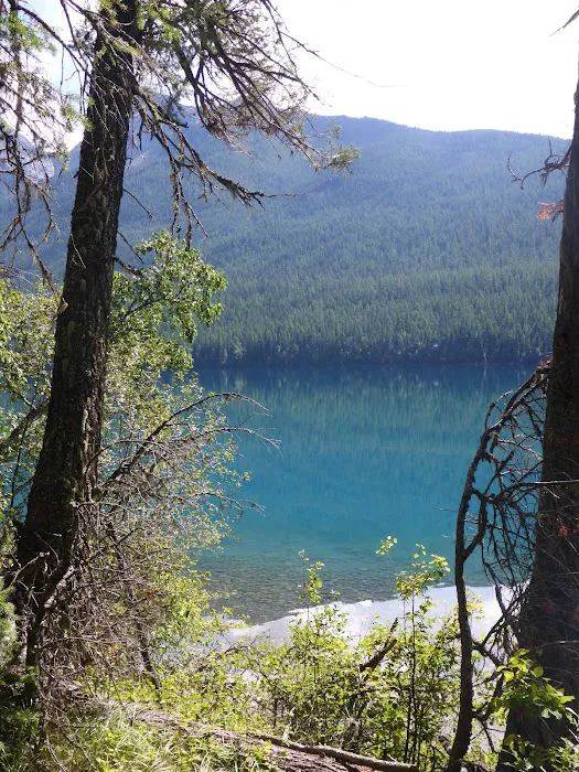 Head Bowman Lake Campground 2