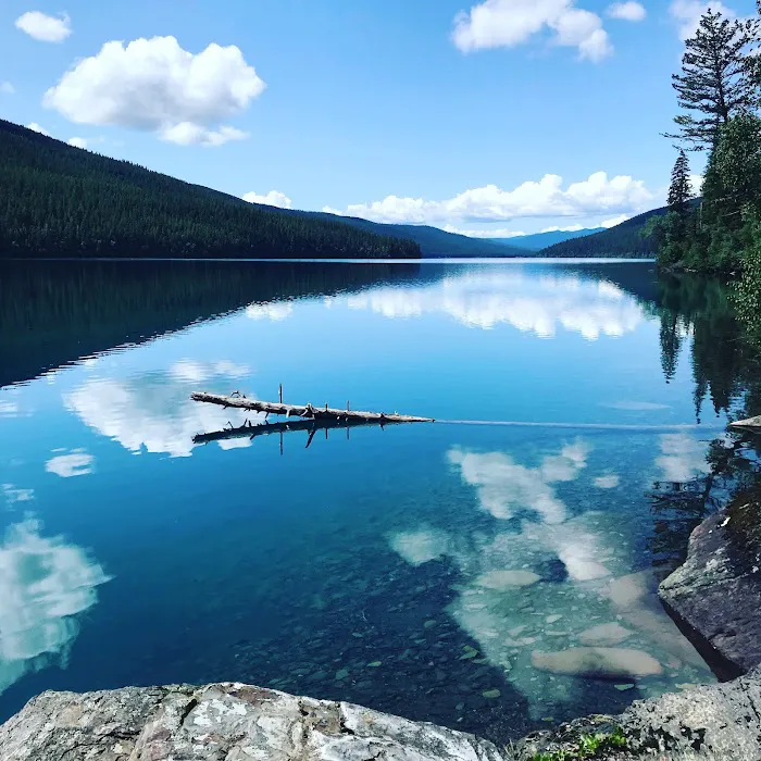 Head Bowman Lake Campground 4