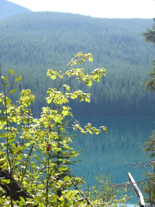 Head Bowman Lake Campground 3