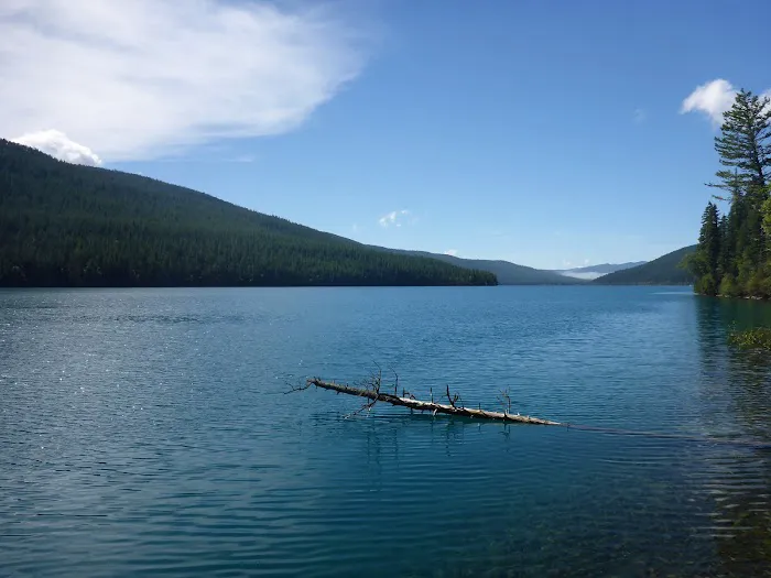 Head Bowman Lake Campground 0