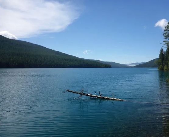 Head Bowman Lake Campground