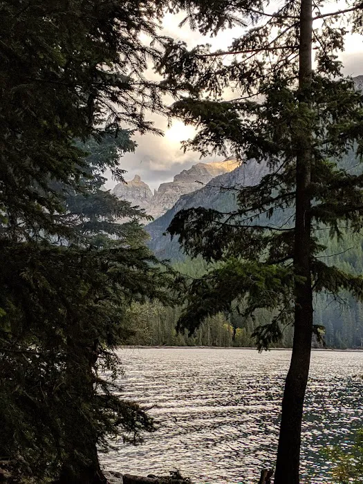 Head Bowman Lake Campground 5