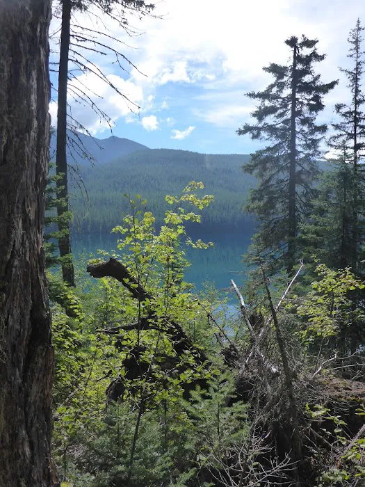 Head Bowman Lake Campground 6