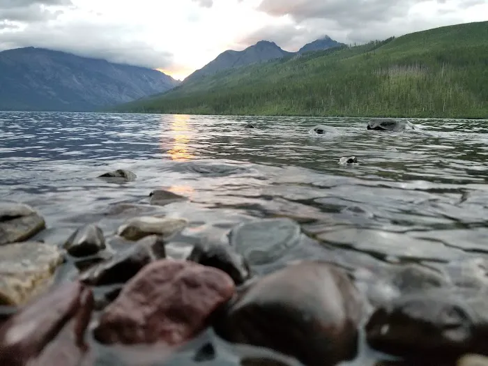 Upper Kintla Lake Campground 9