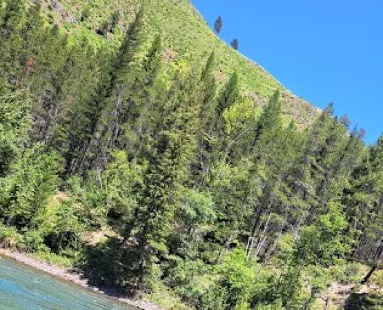 Moccasin Creek River Access Boating Site