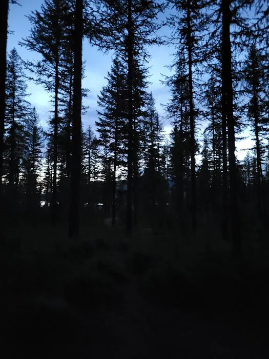Murray Bay Campground 5