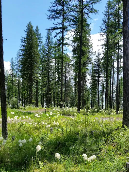 Murray Bay Campground 8