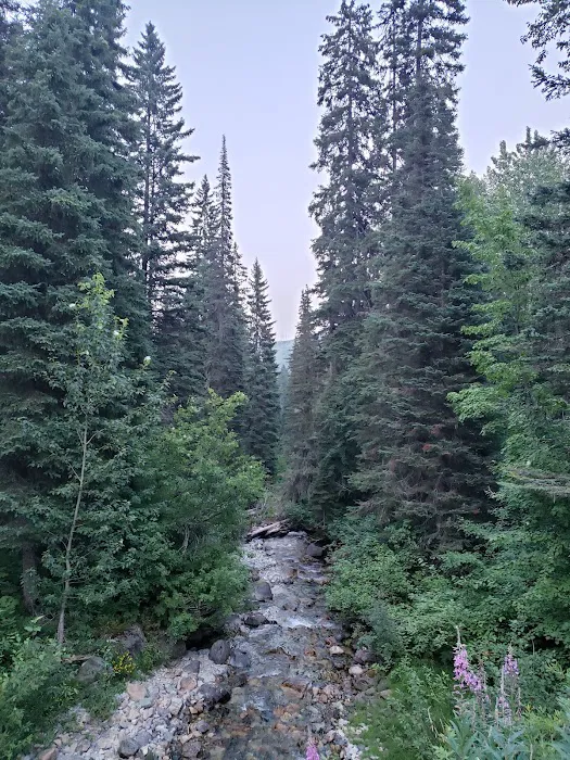 Lid Creek Campground 5