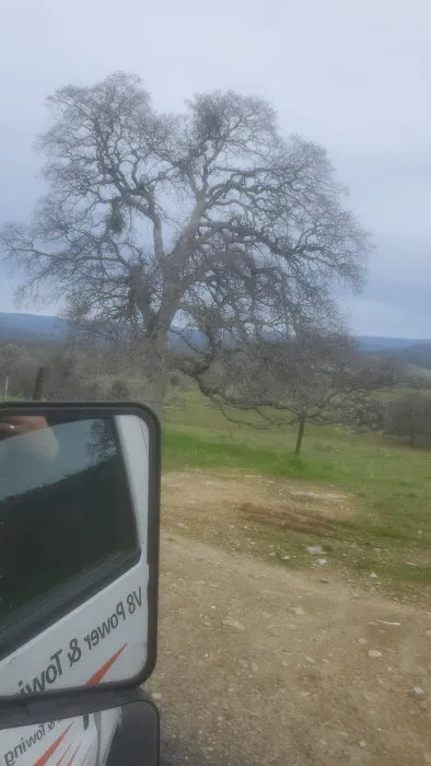 La Grange Tent Campground 9