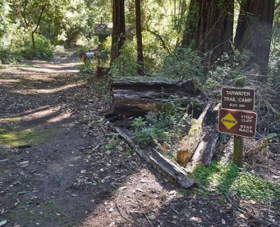 Tarwater Trail Camp