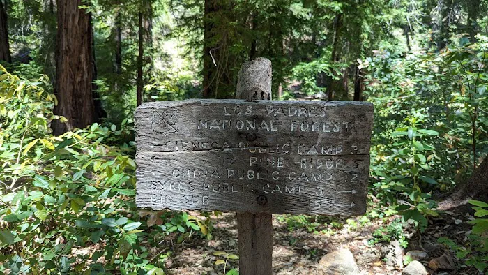 Redwood Camp 1