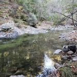 Barlow Flat Campground