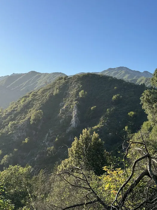 Barlow Flat Campground 2