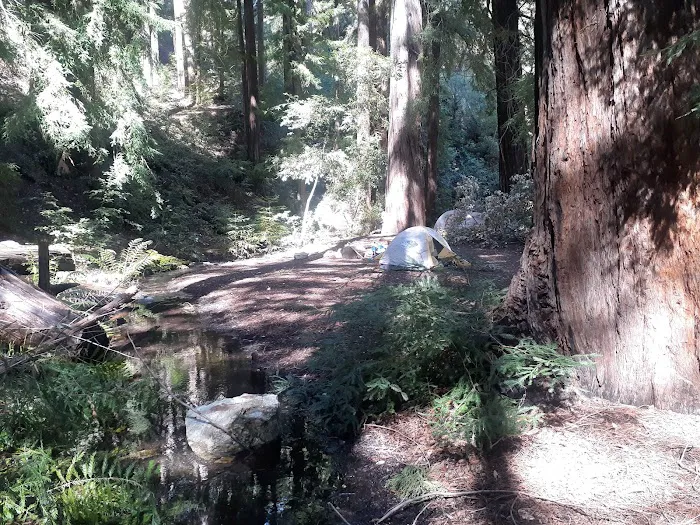 Barlow Flat Campground 7