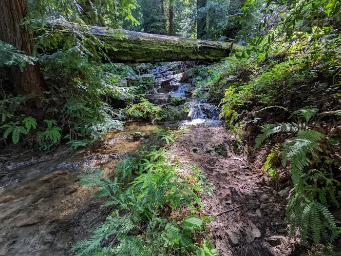 Barlow Flat Campground 8