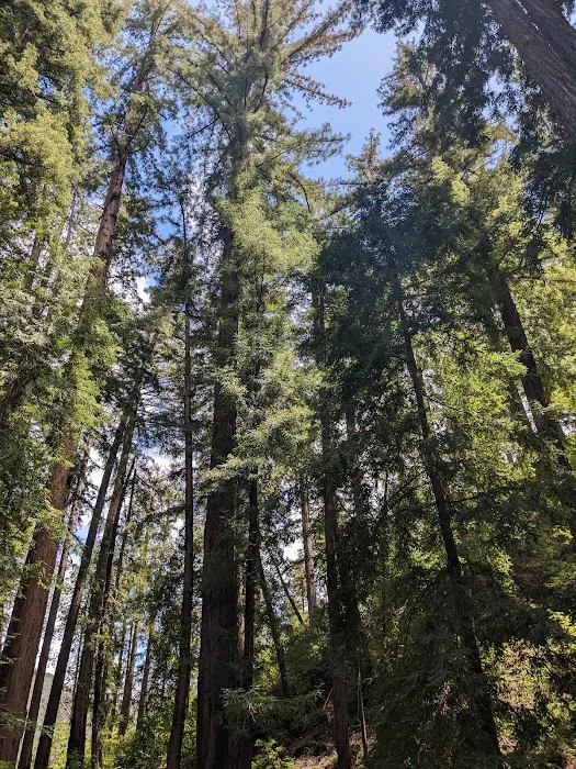 Terrace Creek Camp 5