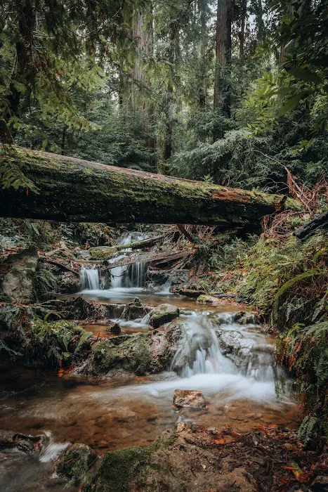 Terrace Creek Camp 2
