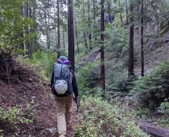 Terrace Creek Camp