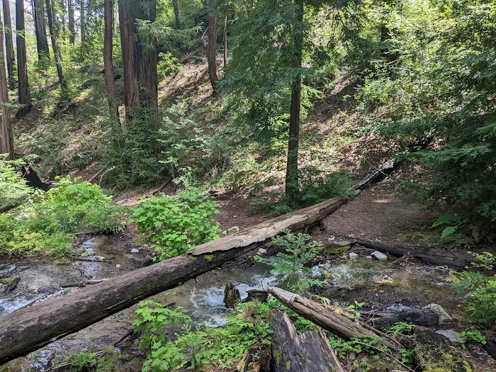 Terrace Creek Camp 3