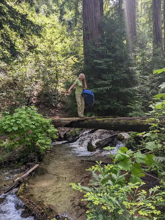 Terrace Creek Camp 1