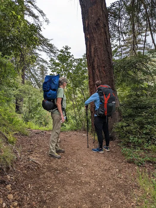 Terrace Creek Camp 8