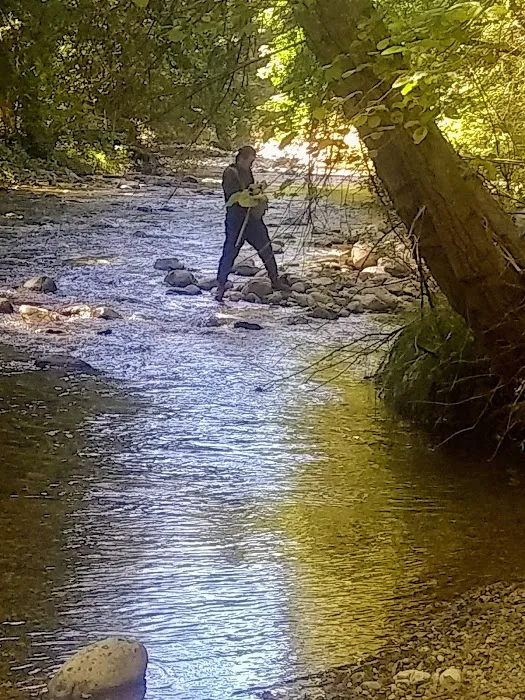 Arroyo Seco Campground 2