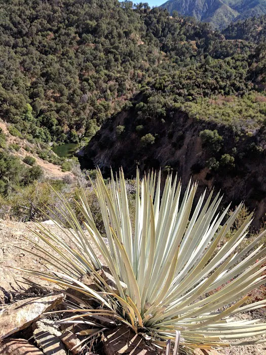 Arroyo Seco Campground 6