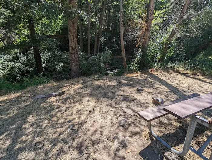 Lower Piney Creek Campground 1