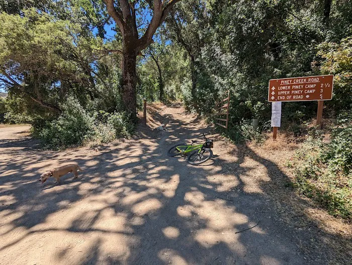 Lower Piney Creek Campground 3