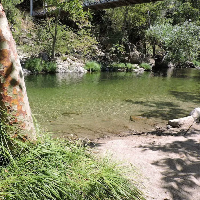 Arroyo Seco Group Campground 8
