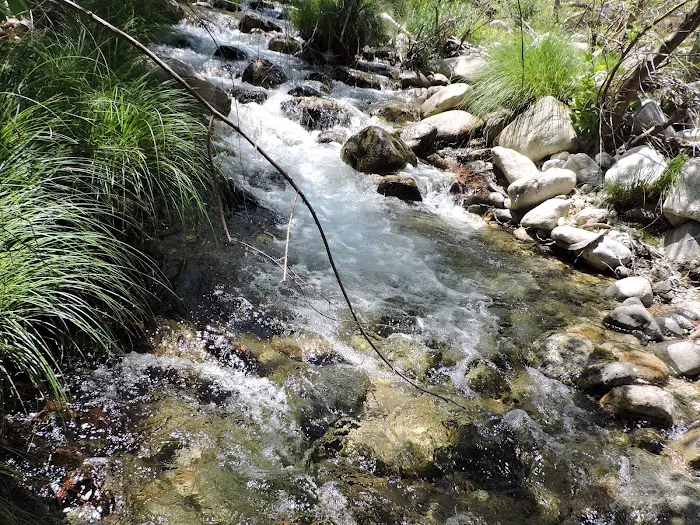 Arroyo Seco Group Campground 7