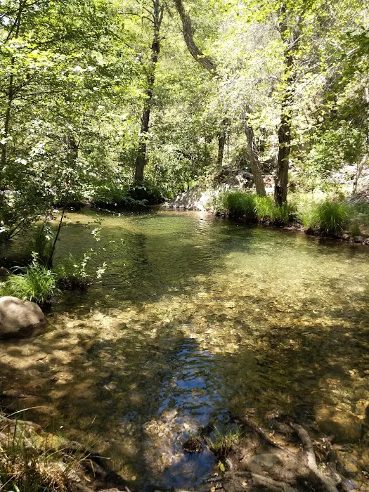 Memorial Park Campground 6