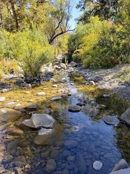 Ponderosa Campground 5