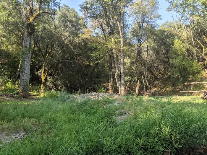 Ponderosa Campground 3