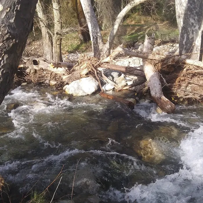 Ponderosa Campground 7
