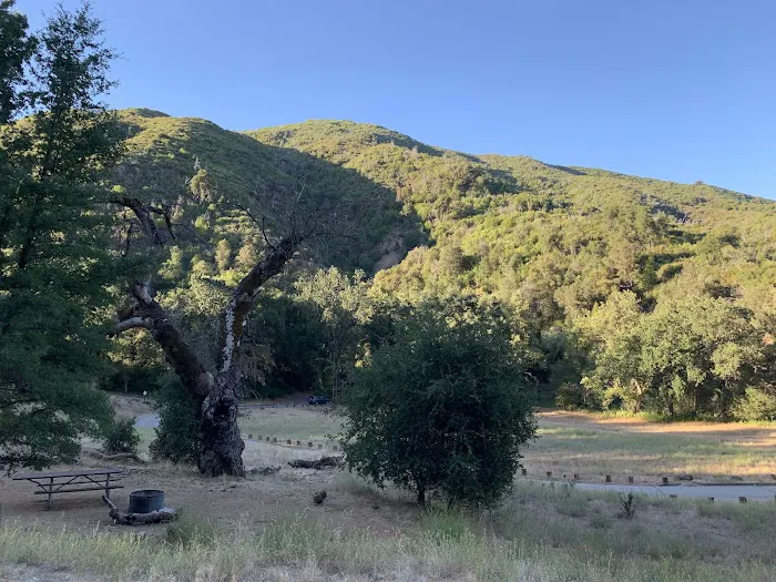 Ponderosa Campground 8